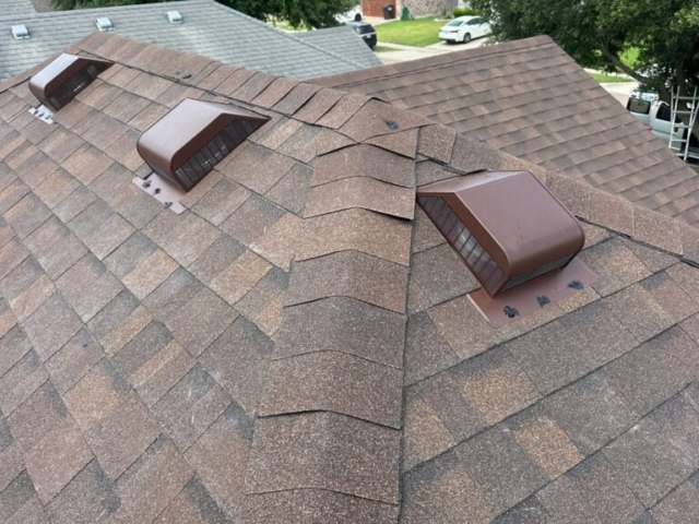 Shingle Roof