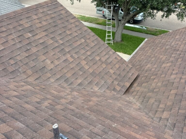 Shingle Roof