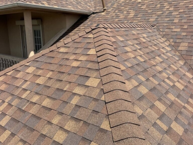Shingle Roof